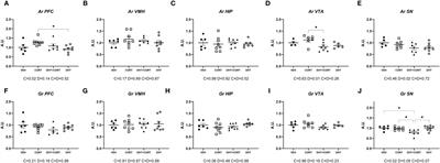 Restricted effects of androgens on glucocorticoid signaling in the mouse prefrontal cortex and midbrain